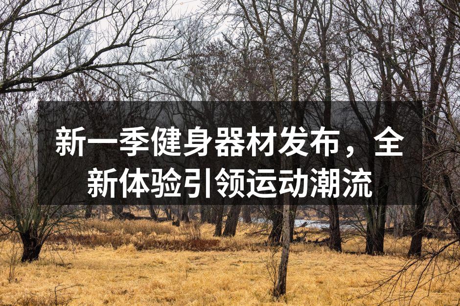 新款智能跑步机展示