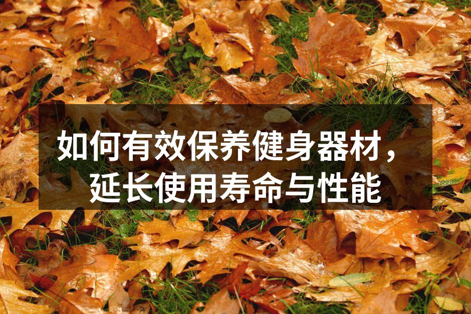 如何有效保养健身器材，延长使用寿命与性能