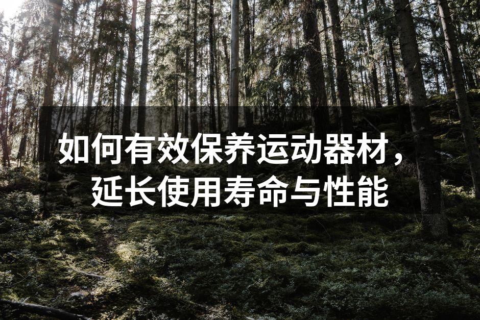 如何有效保养运动器材，延长使用寿命与性能